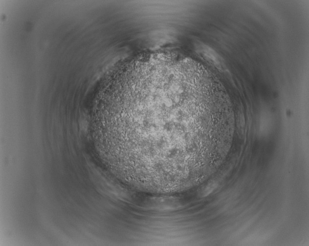 X0000069360367200605192104