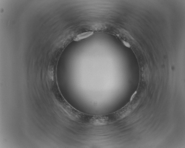 X0000069360368200605192104