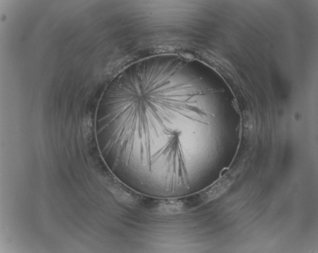 X0000069360369200605192104