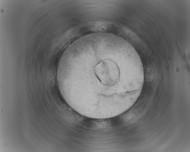 X0000069360370200605192104