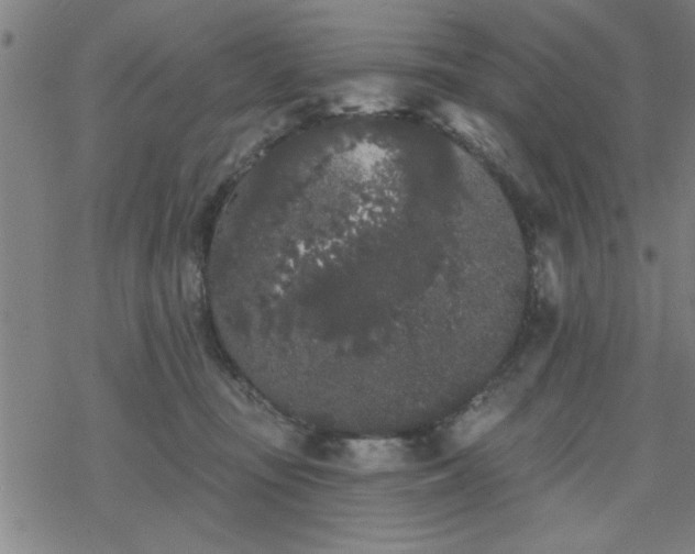 X0000069360371200605192104