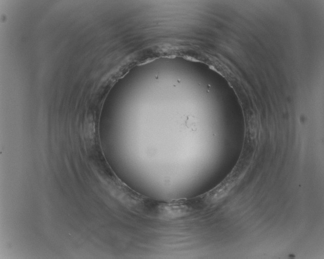 X0000069360372200605192104