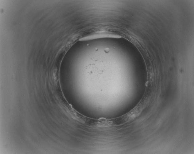 X0000069360373200605192104