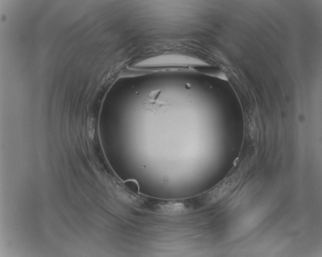 X0000069360374200605192104