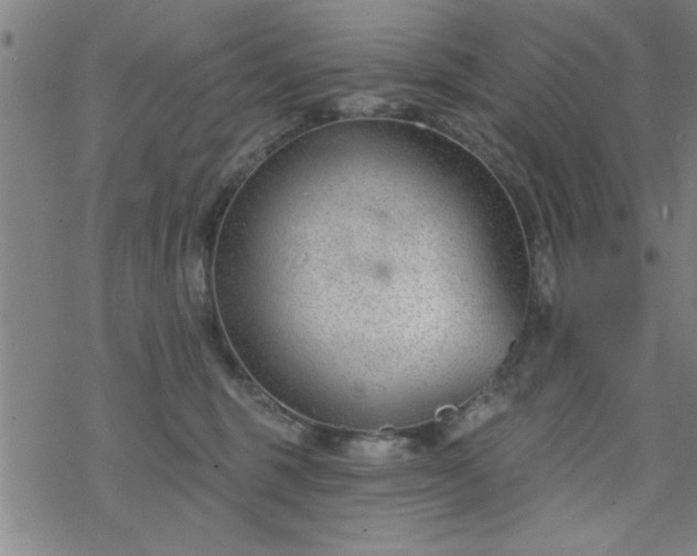 X0000069360375200605192104