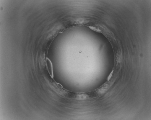 X0000069360376200605192104