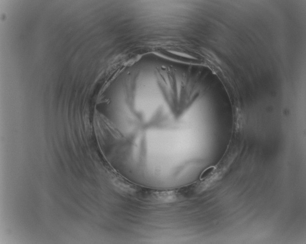 X0000069360377200605192104