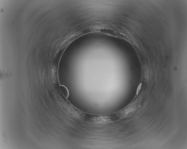 X0000069360378200605192104