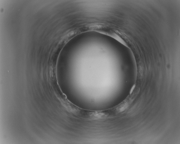 X0000069360379200605192104