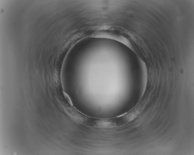 X0000069360380200605192104