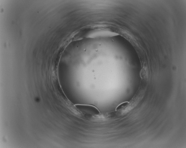 X0000069360381200605192104