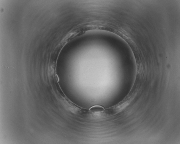 X0000069360382200605192104