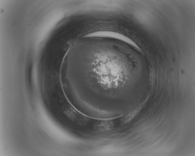 X0000069360383200605192104