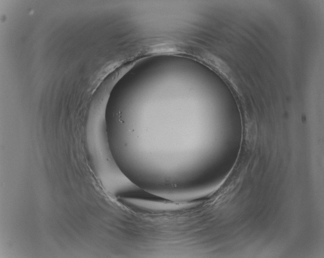 X0000069360385200605192103