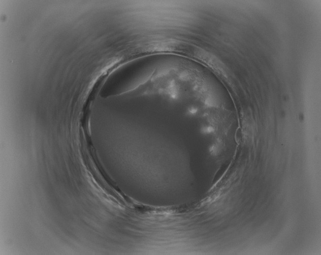 X0000069360386200605192103