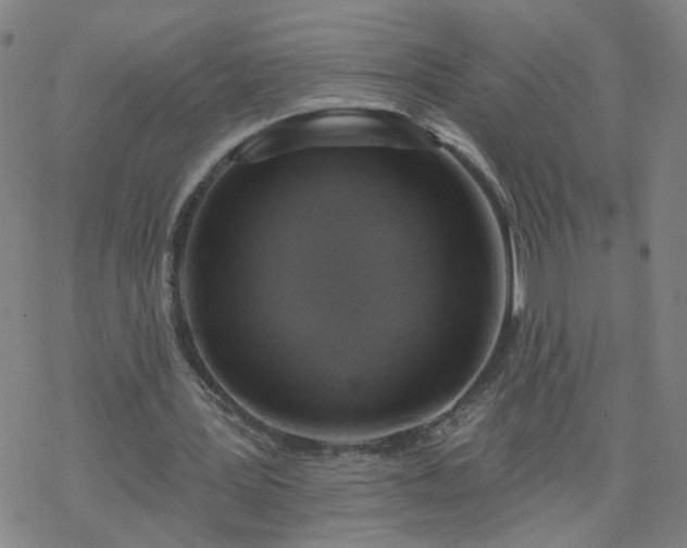 X0000069360387200605192103