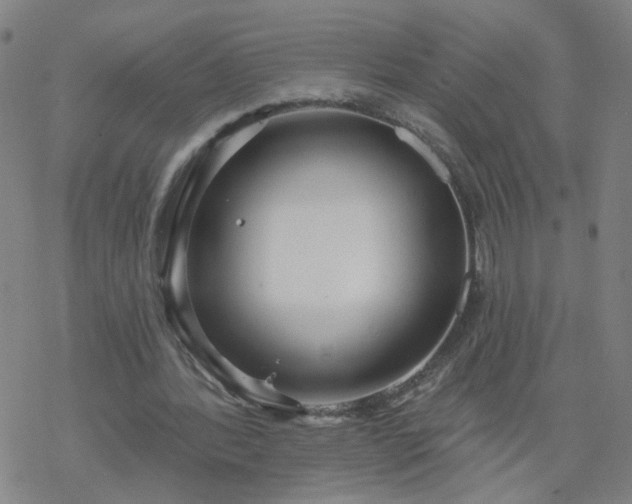 X0000069360388200605192103