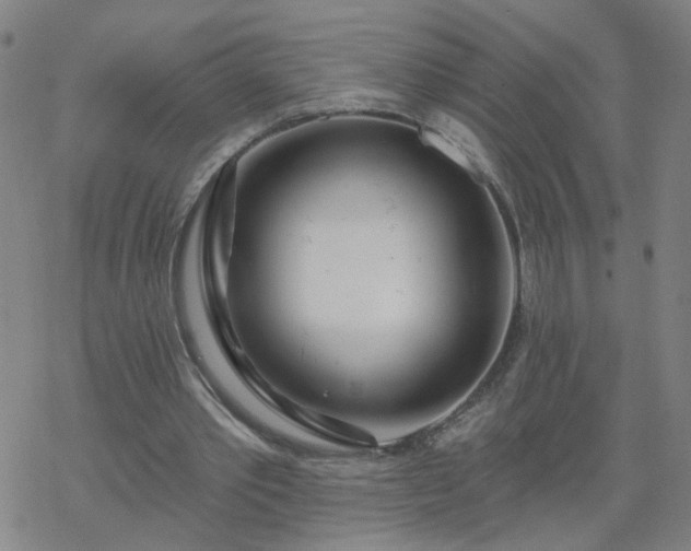 X0000069360389200605192103