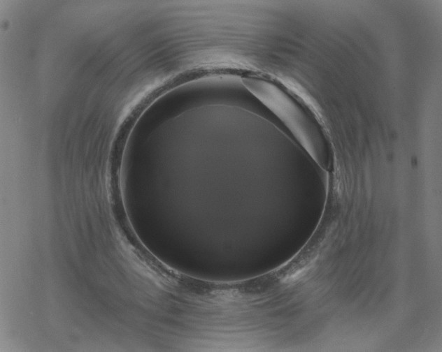 X0000069360391200605192103