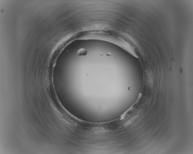 X0000069360392200605192103