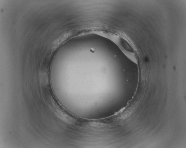 X0000069360393200605192103