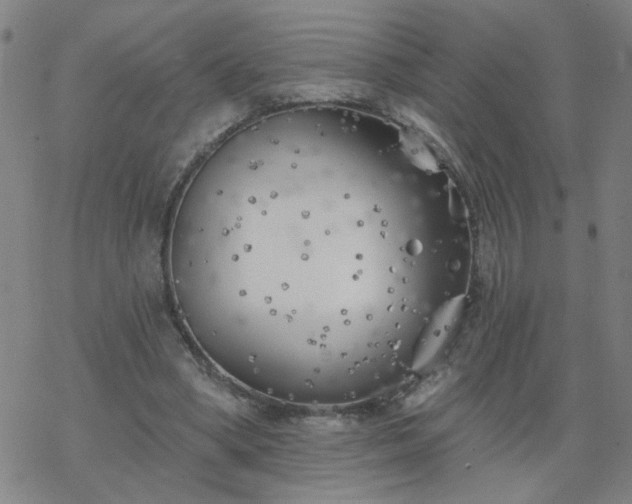 X0000069360394200605192103