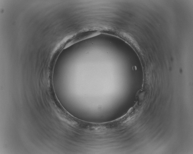 X0000069360395200605192103