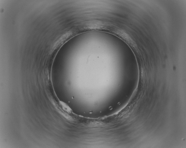 X0000069360397200605192103