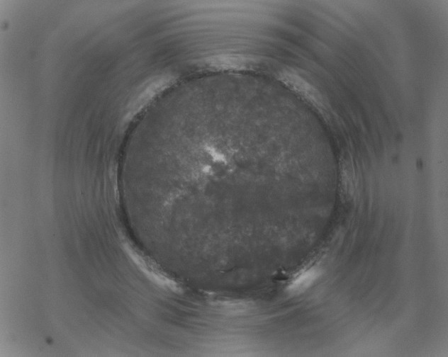 X0000069360398200605192103