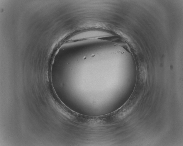 X0000069360399200605192103