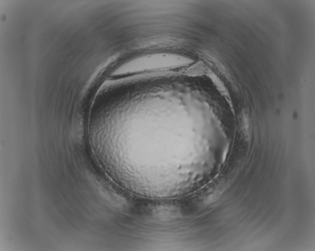 X0000069360400200605192103