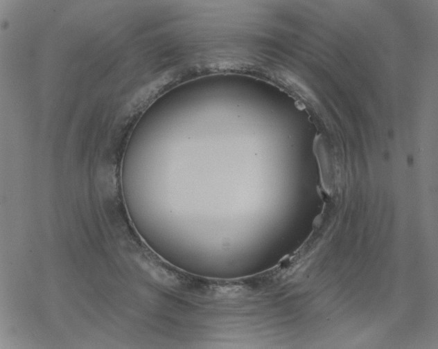 X0000069360401200605192103