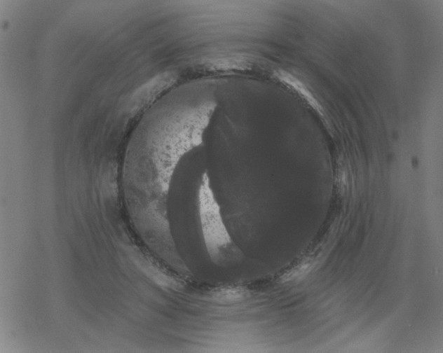 X0000069360402200605192103