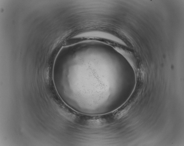 X0000069360404200605192103