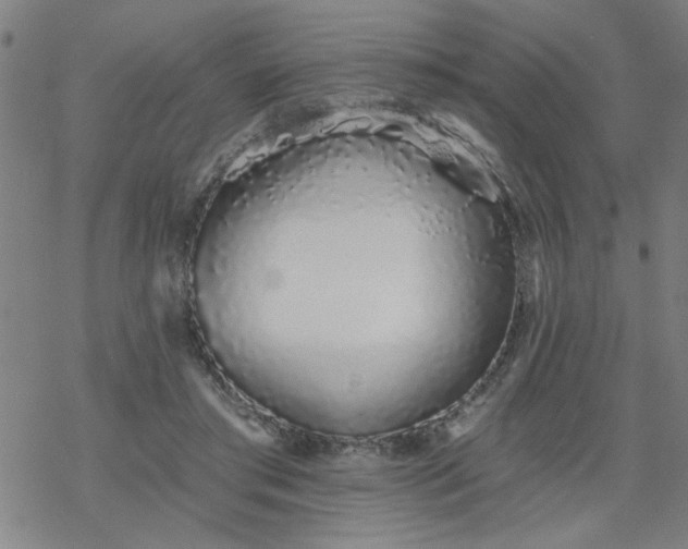 X0000069360405200605192103