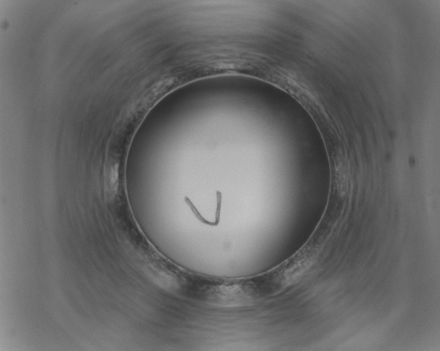 X0000069360406200605192103