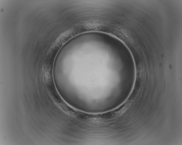 X0000069360408200605192103