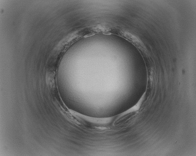 X0000069360409200605192103