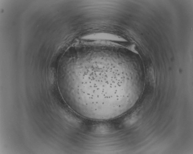 X0000069360412200605192103