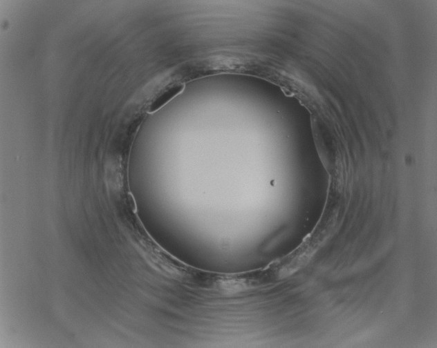 X0000069360413200605192103