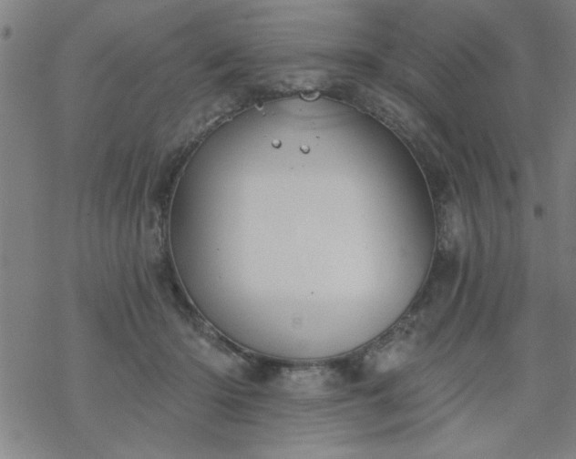 X0000069360414200605192103