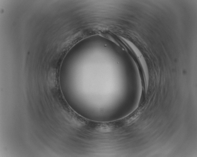 X0000069360416200605192103