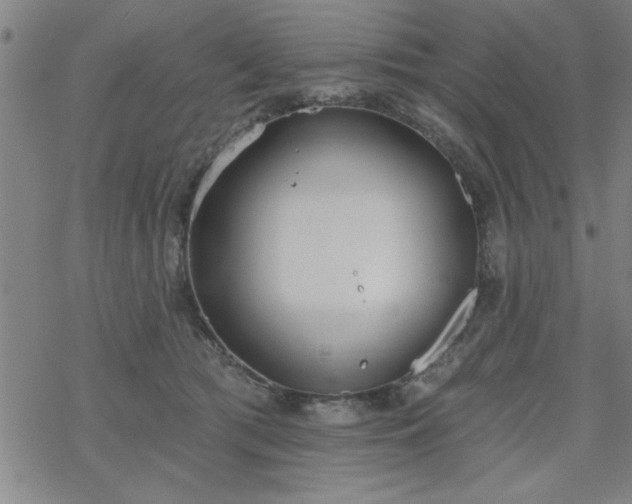 X0000069360417200605192103