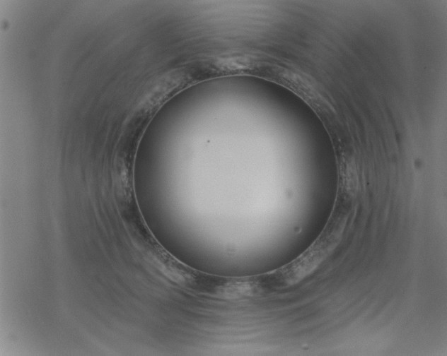 X0000069360418200605192103