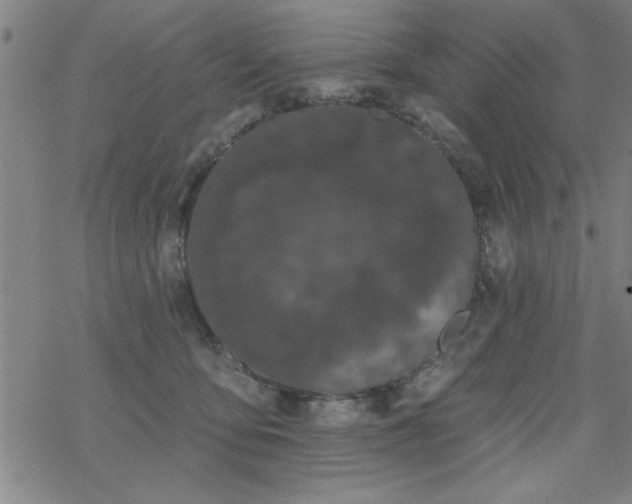 X0000069360419200605192103