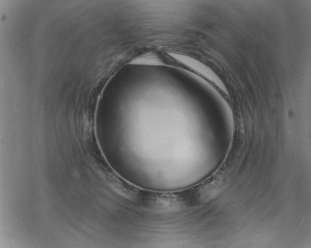 X0000069360420200605192103