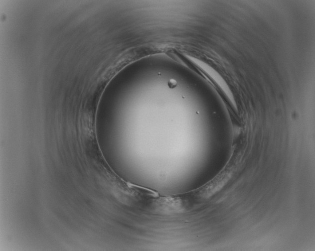 X0000069360421200605192103