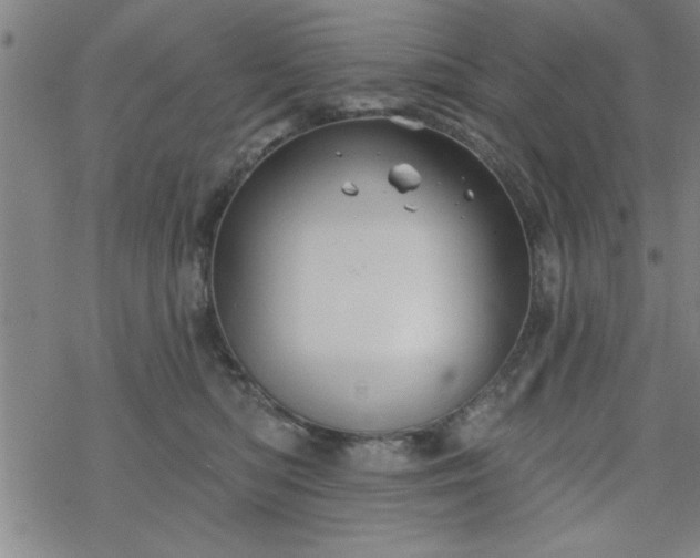 X0000069360422200605192103