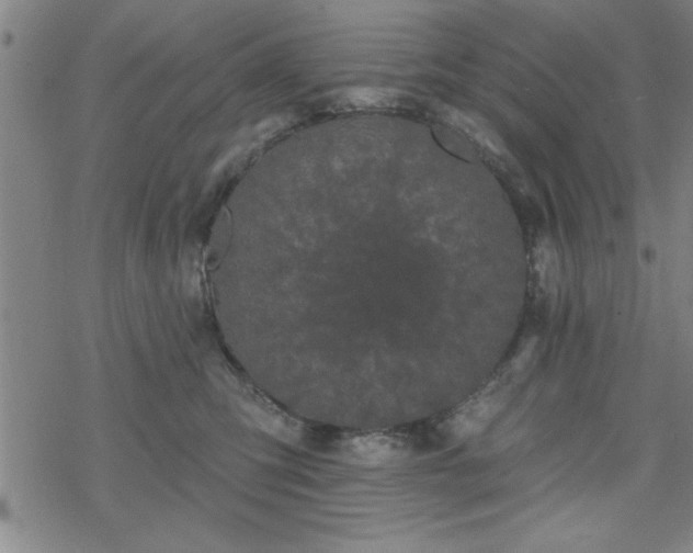 X0000069360423200605192103