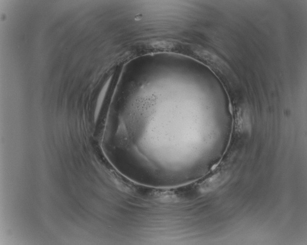 X0000069360424200605192103